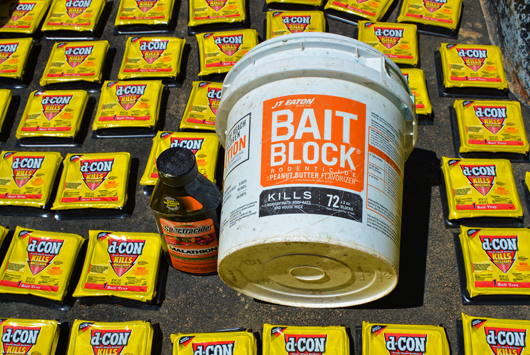 Photo of poisonous baits, an example of how cannabis production impacts the environment.