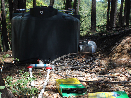 Photograph of irrigation infrastructure on a cannabis farm. Includes storage tanks, pipes and fertilizer