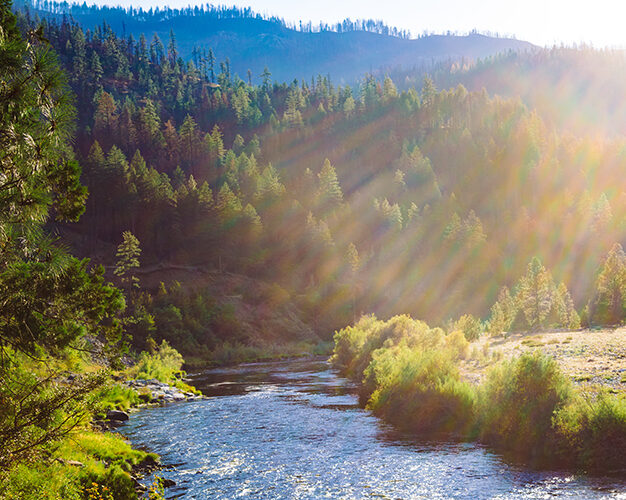 Photo of Klamath River and forested hills where cannabis cultivation can impact water flows