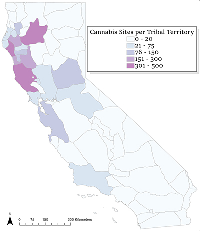 Map of California that highlights density of cannabis sites per tribal territory. Highest densities are in northwest California area known as the Emerald Triangle.