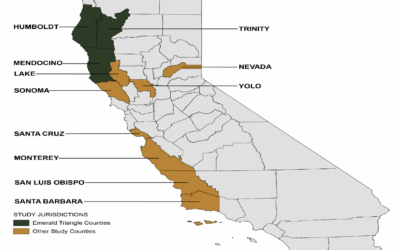 Local Regulation of Cannabis in California