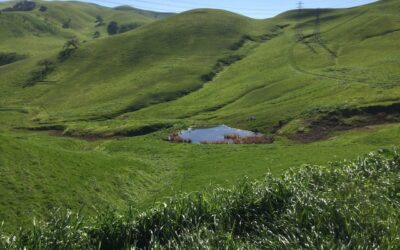Tribal sovereignty in land use decision making: Evaluating cultural resource law in California